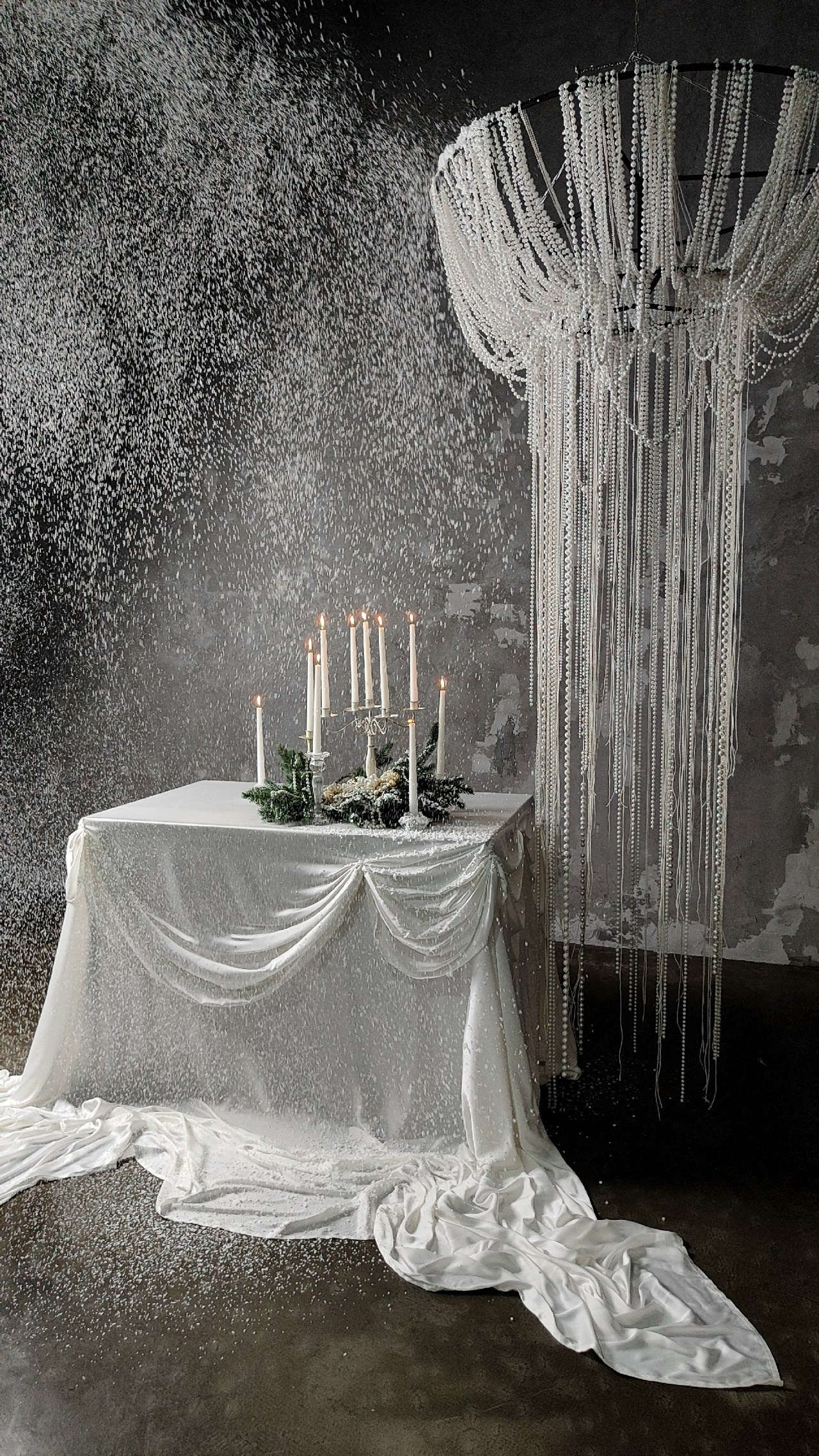 Новогодние залы. Семейный и женский фотограф в Воронеже Ольга Попова