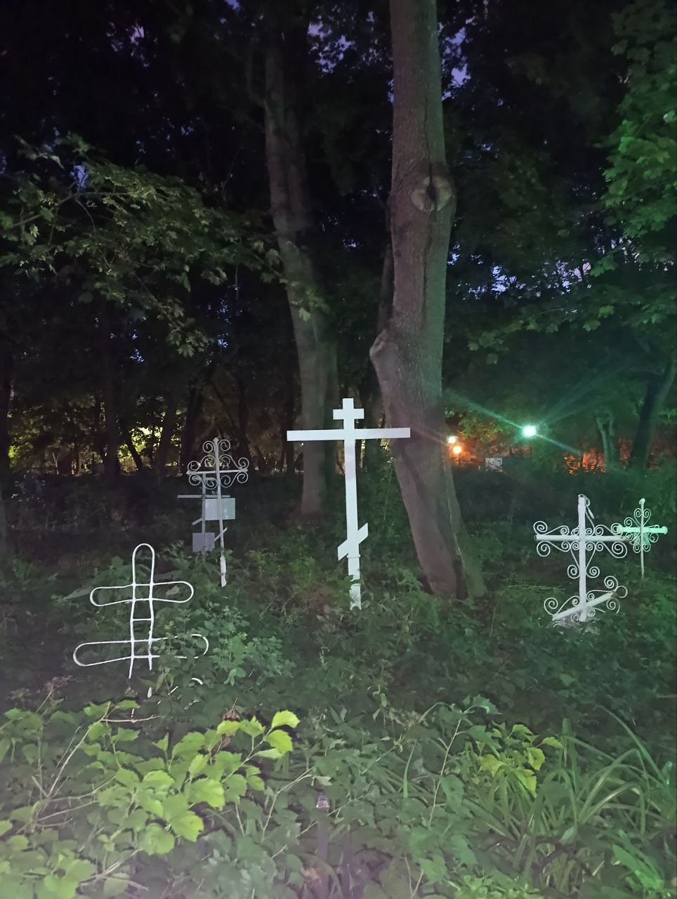 Елена Чернышова — Пираты воображения