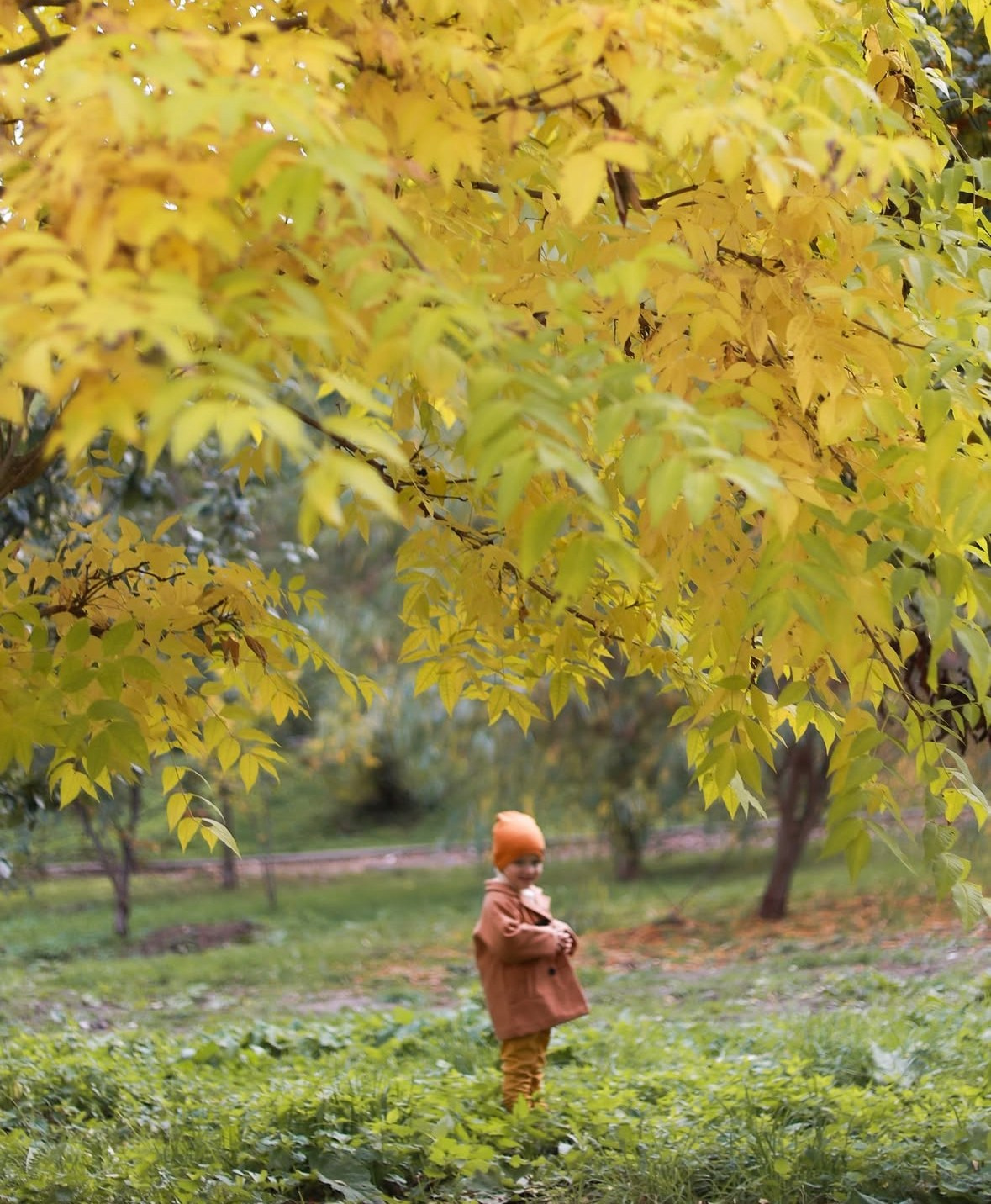 Локации для фотосессии Дмитров. Фотограф НатаФото (Наталья Яковенко) Дмитров Москва Питер