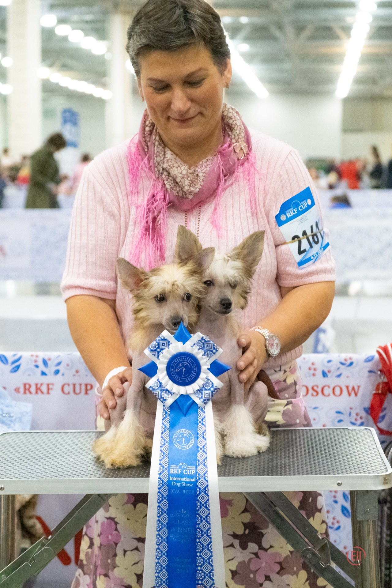 Poale Ell Cooper. Chinese Crested Dog Kennel Poale Ell