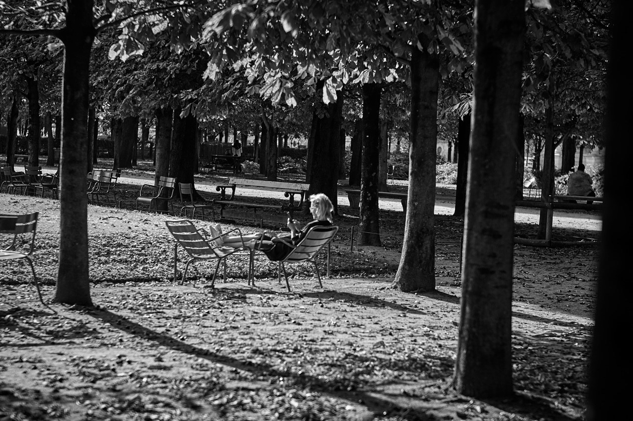 Paris: Download Error