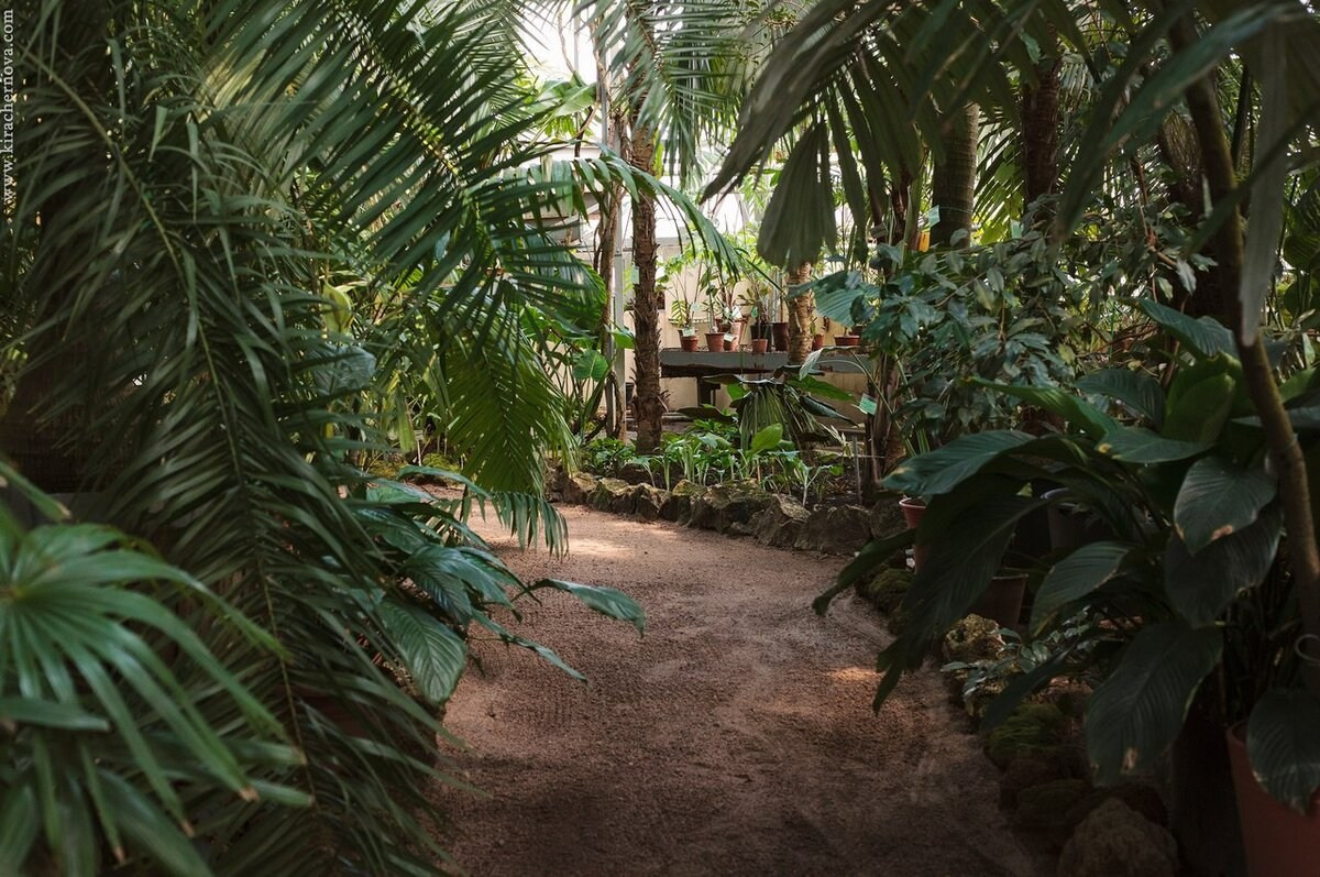 Локации для свадебной фотосессии в дождь. Свадебный и семейный фотограф Москва и Московская область