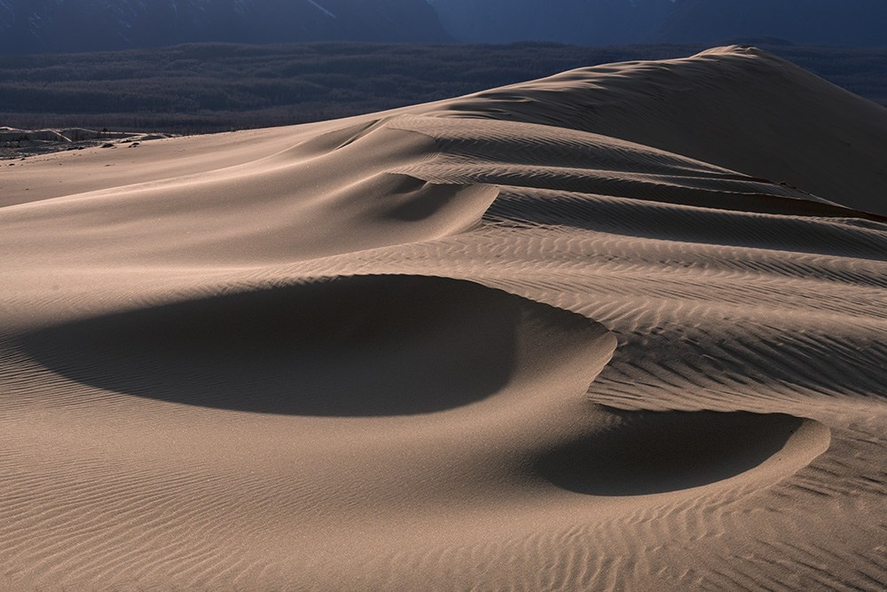 Чарские пески. Май 2026