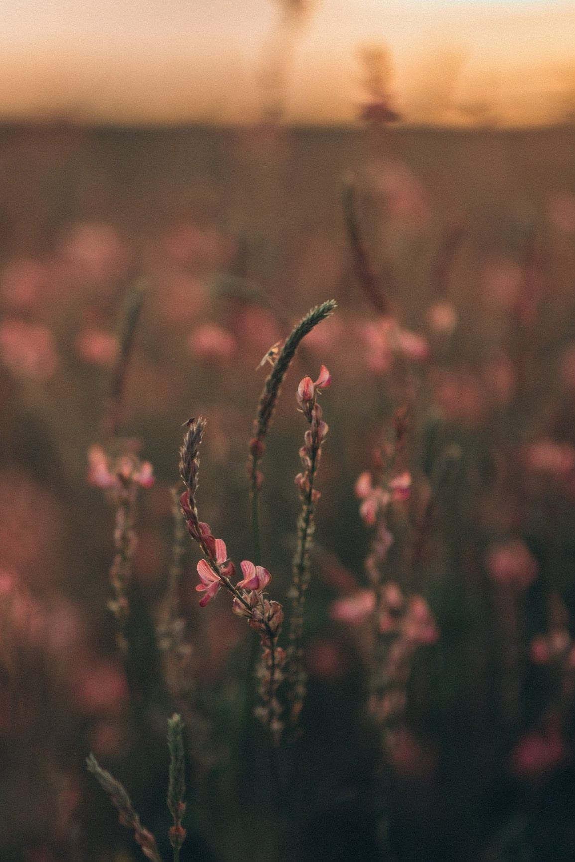 Какие потрясающие люди случаются со мной!. Семейный и детский фотограф |Брянск| Анастасия Перепелкина