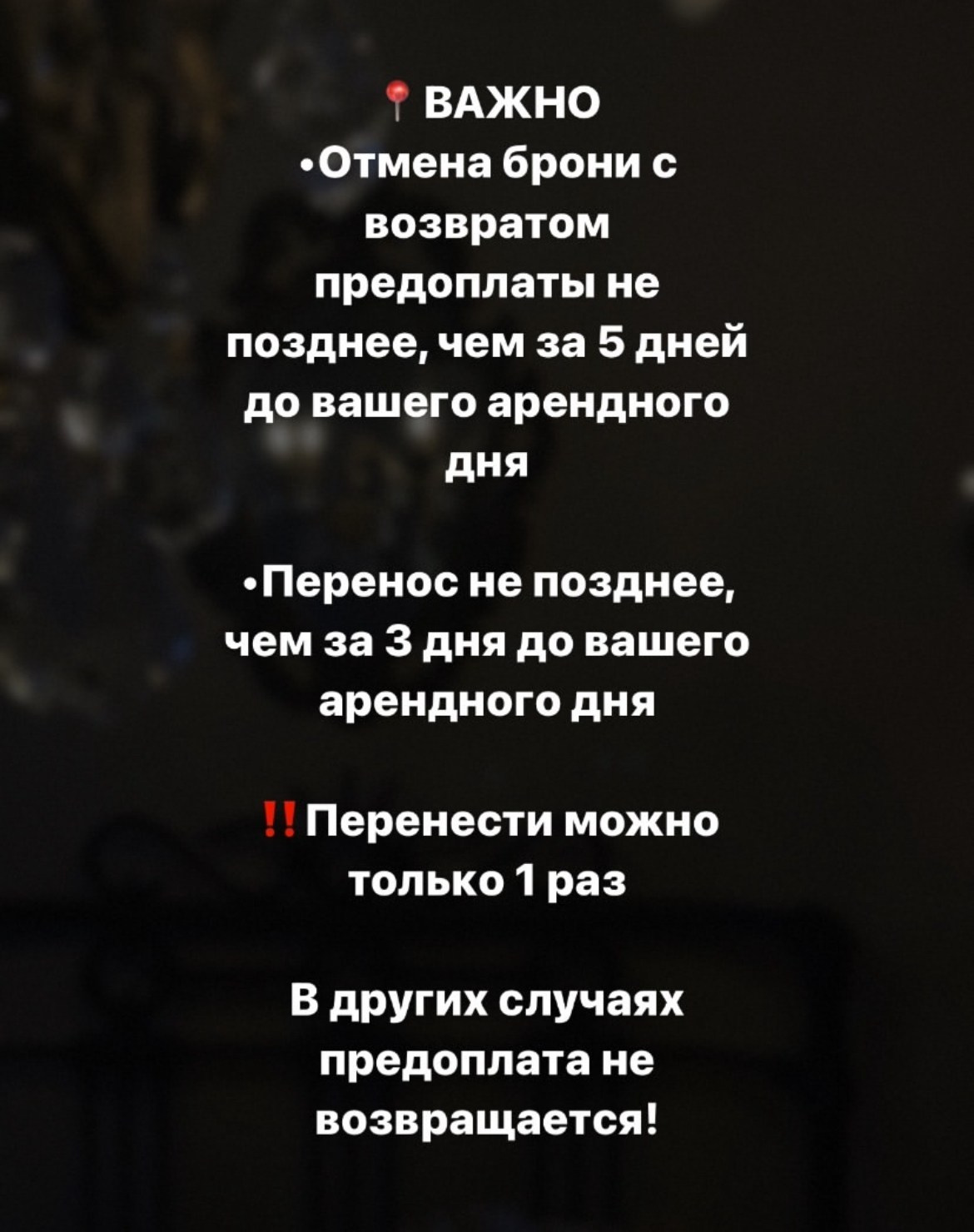 ЛЕС (скв. Карла Маркса). Семейный и детский фотограф |Брянск| Анастасия Перепелкина