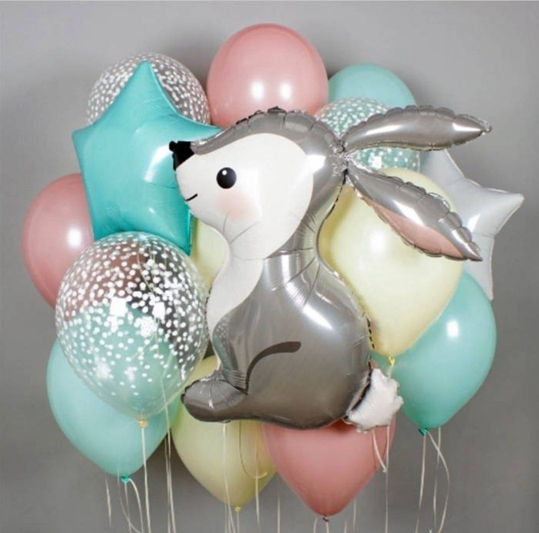 Odalazak iz porodilista prodavnica balona Novi Sad prodavnica balona Beograd. Шары с гелием, фотозоны Нови Сад Белград. Balone i dekoracije od balona Novi Sad Beograd