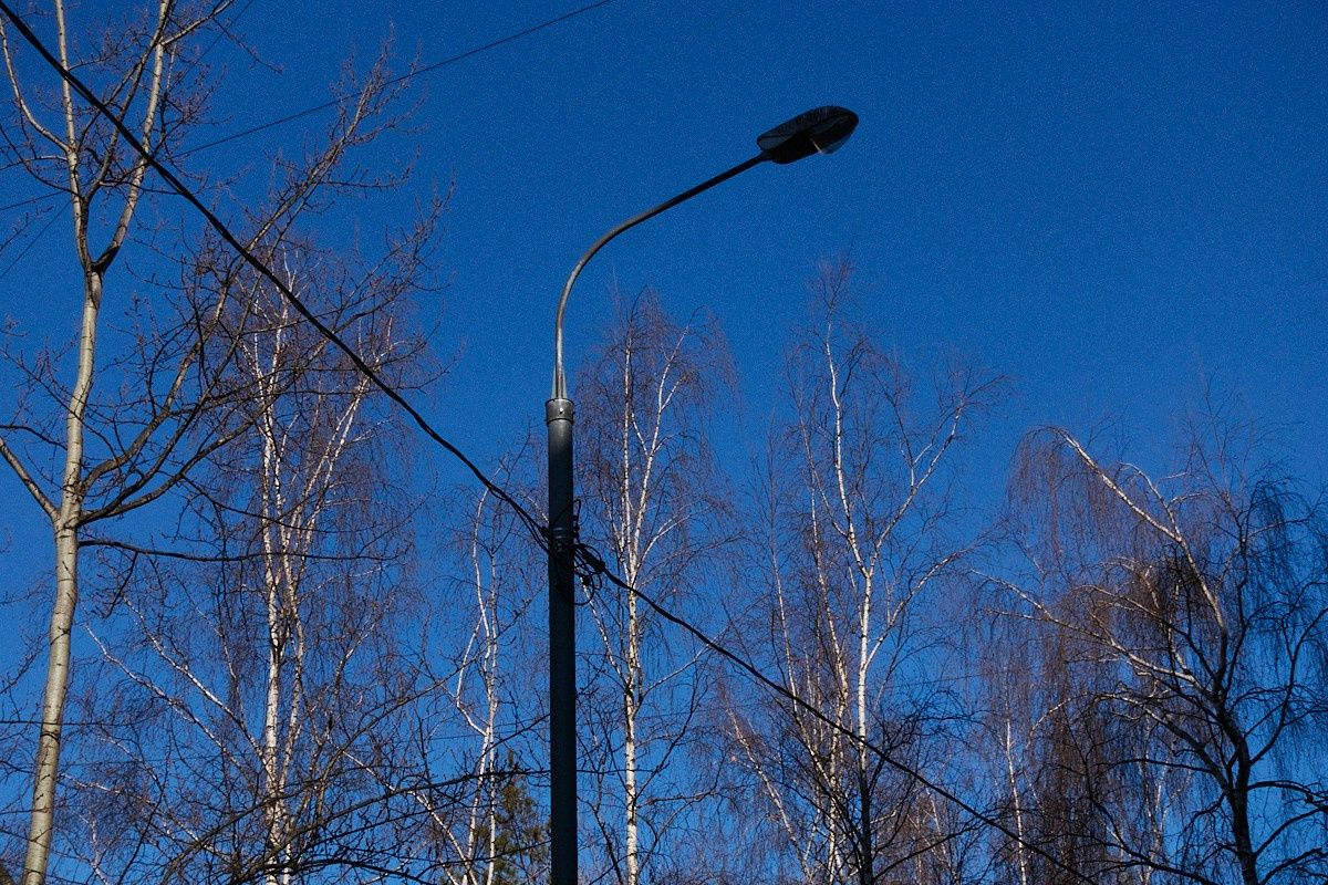 Дневной Сон. Иван Кобяков