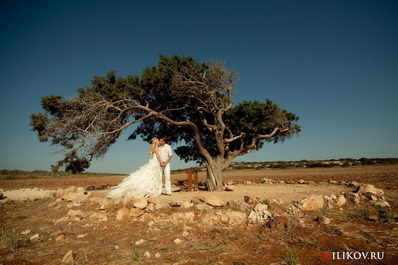 ВИДЕОГРАФ ЕВГЕНИЙ МИЛИКОВ