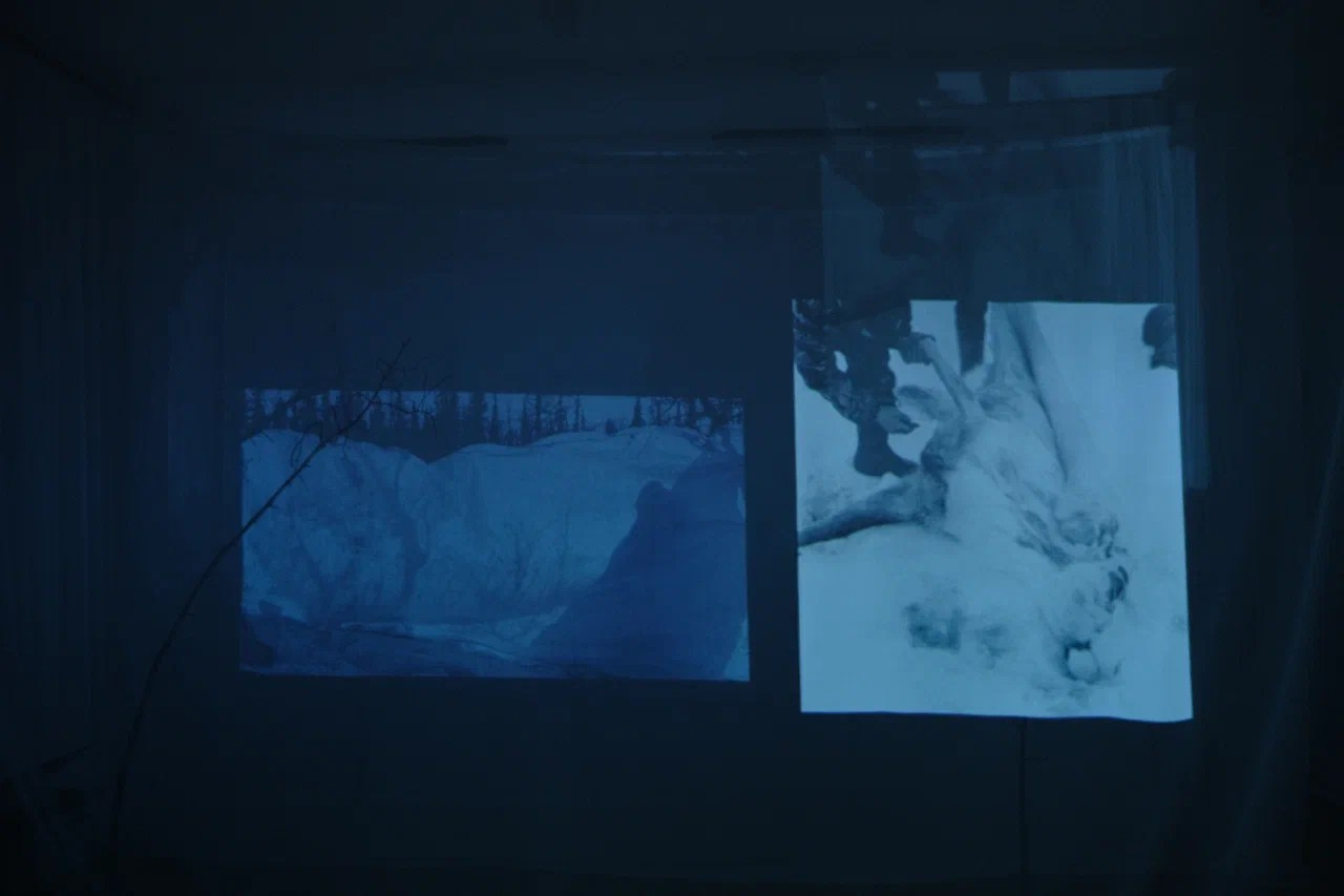 Паблик-арт проекты