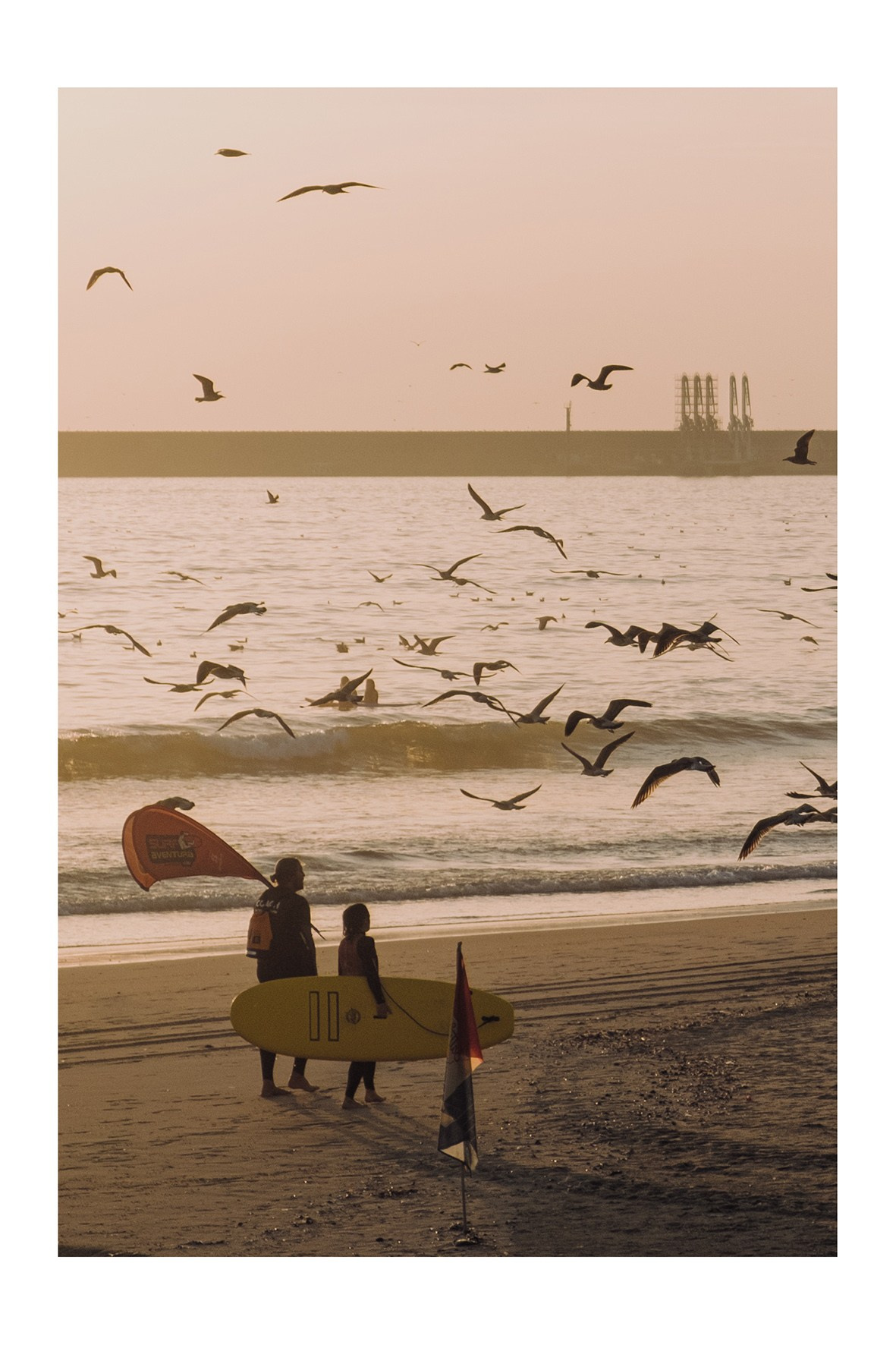 Prints and postcards. Porto Photographer Kristina Brazhnikova