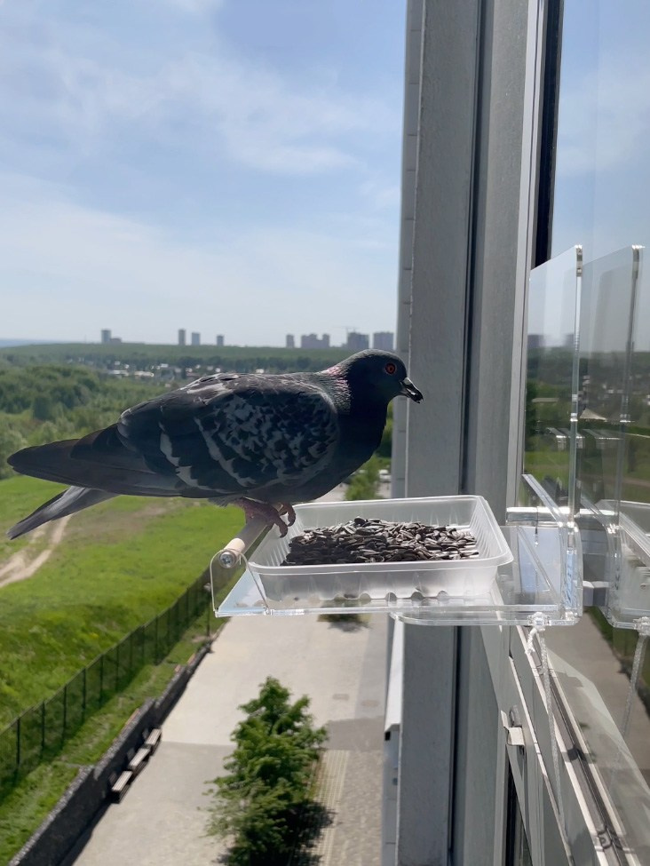 ТЕРРАСА. Кормушки для птиц на окно Чирик-Чирик