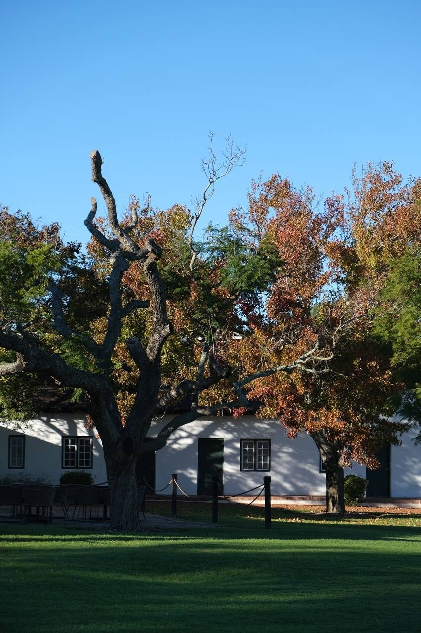 Nataresso | фотограф Москва