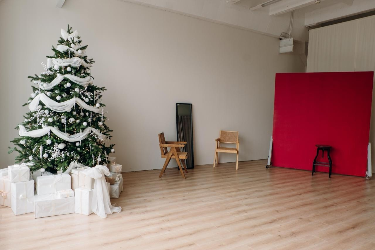 Новогодние студии Нск. Виктория Файфер| фотограф Новосибирск