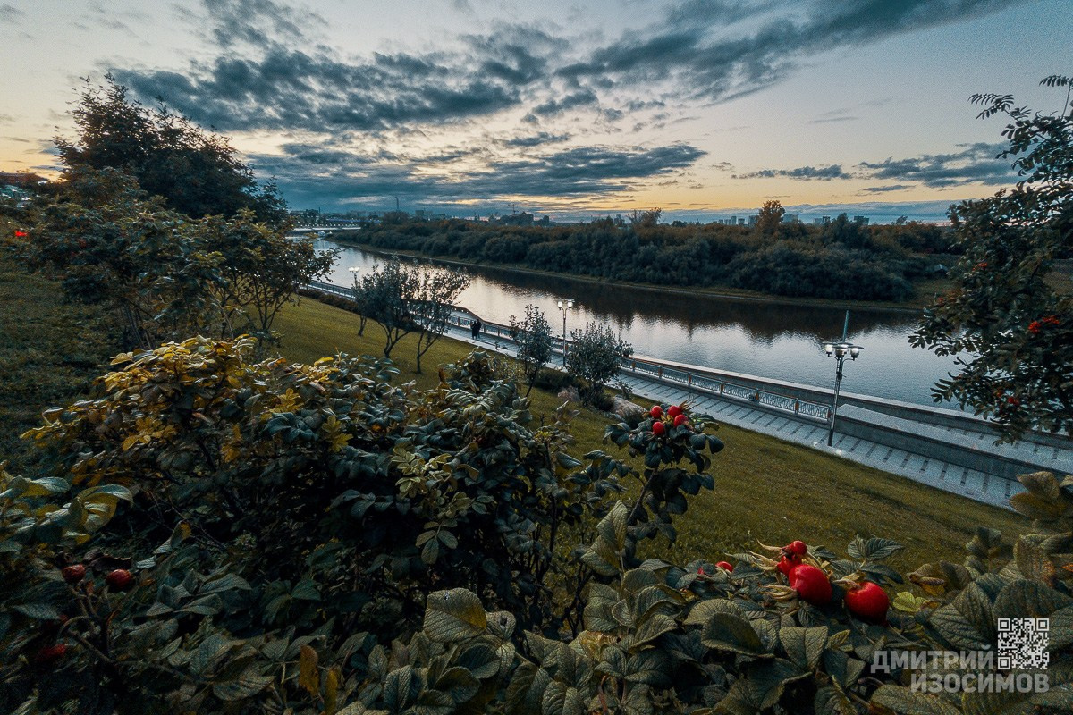 Свежие открытки