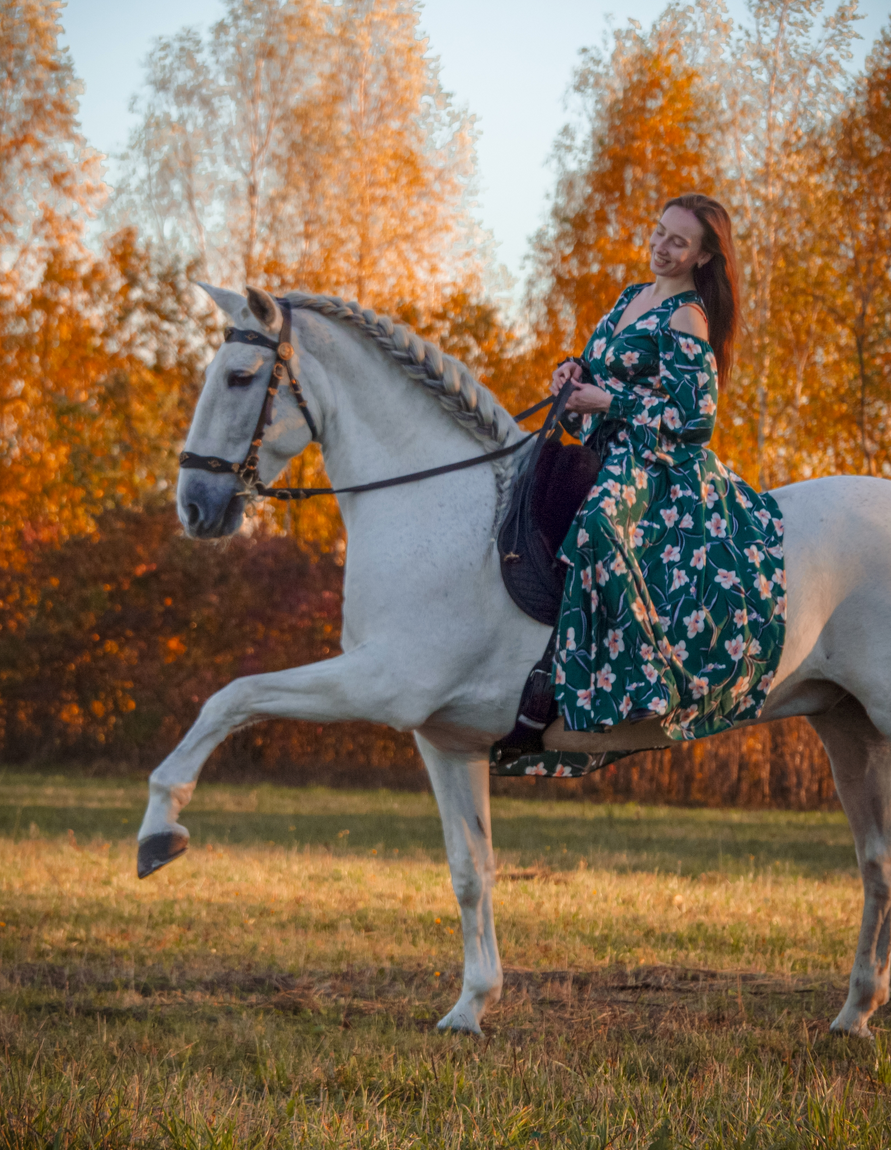 Лошади. Свадебный и портретный фотограф Москва