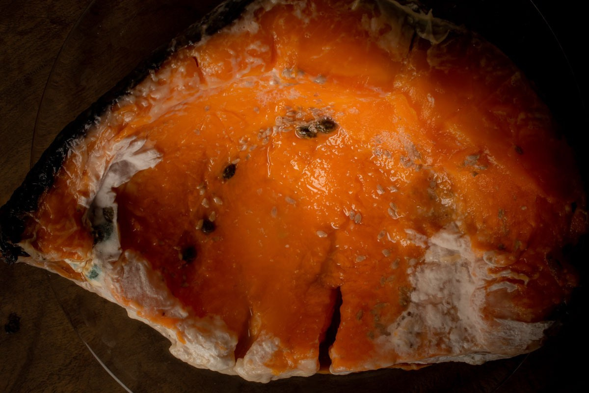 Абстрактный. Самид Али, фотограф из Санкт-Петербурга, Россия