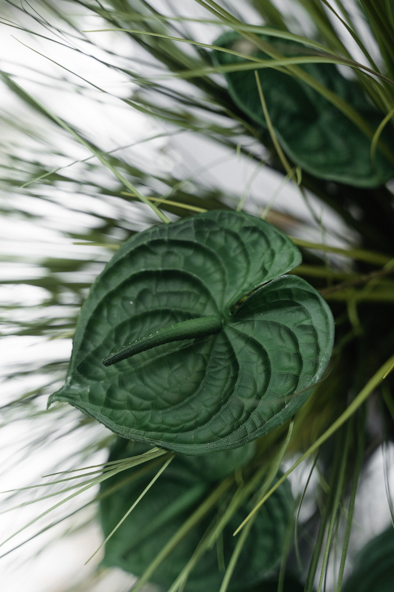 Артём и Карина. Свадебный фотограф в Белгороде Антон Каменев