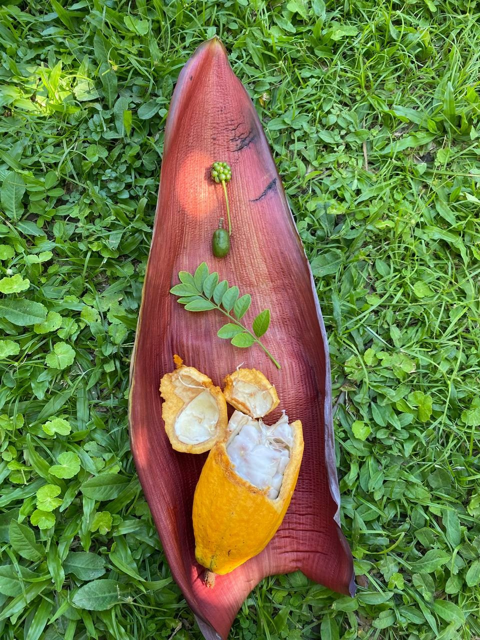 По-другому. Xenia Ryabova