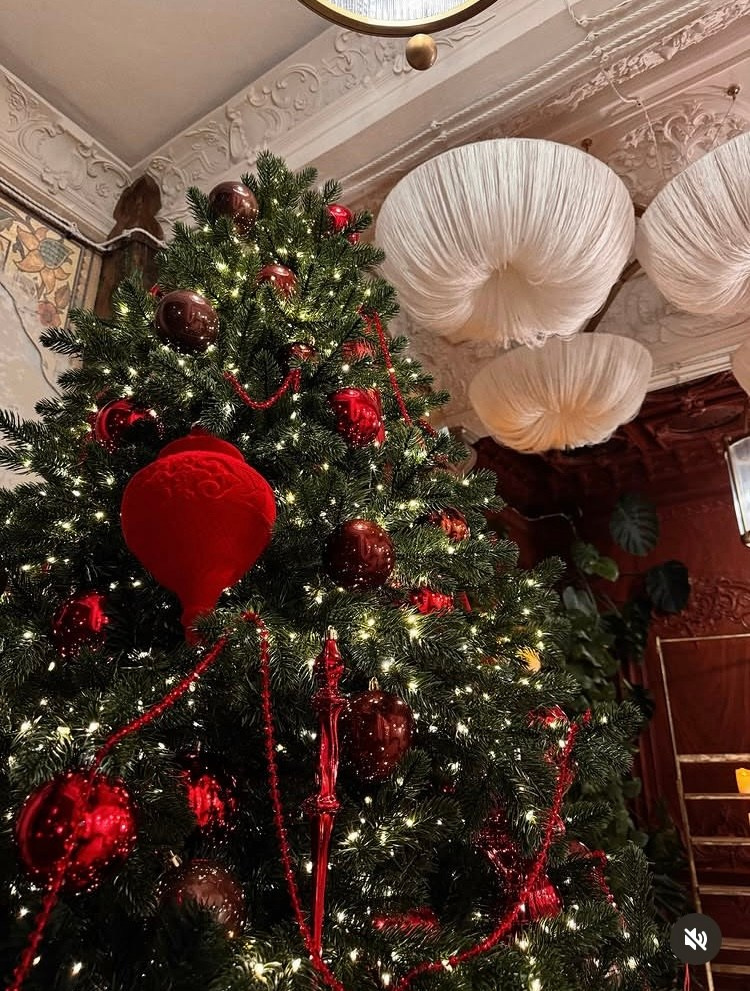 Новый год. Фотограф Беременности в Краснодаре Кара Артисан