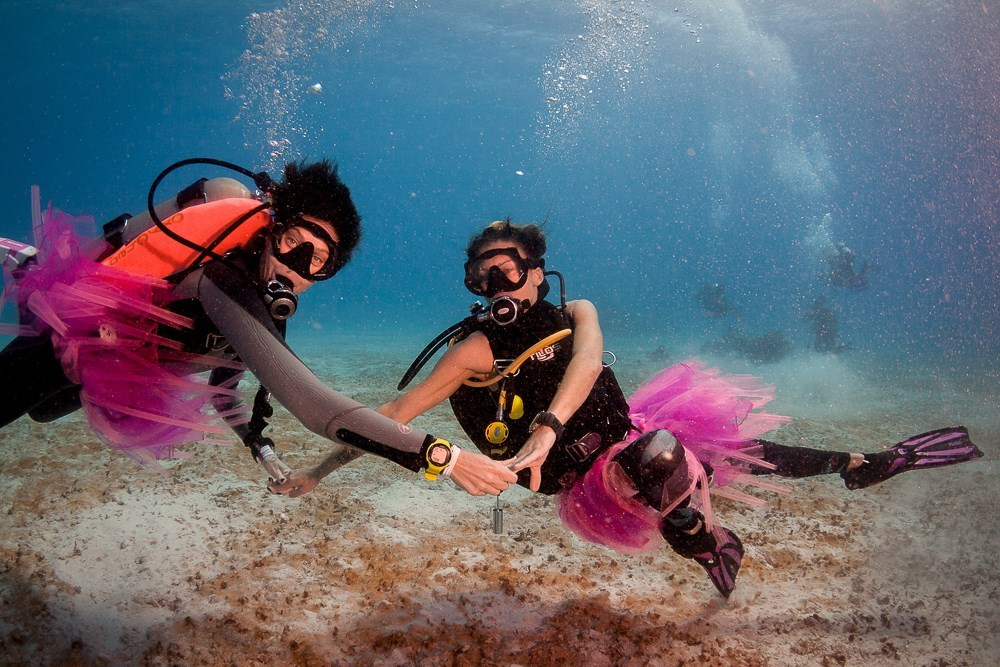 Дайвинг-туры. Дайвинг-клуб «Капитан Морган», Беларусь