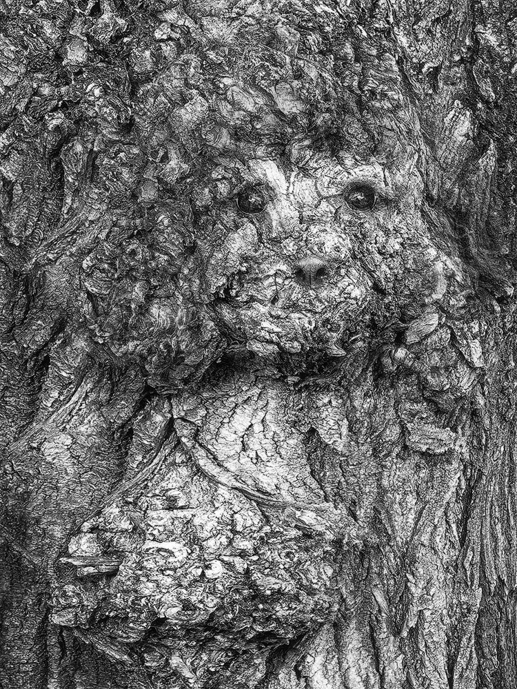 Projects. Landscape Photography by Aleksandr Leshchenok