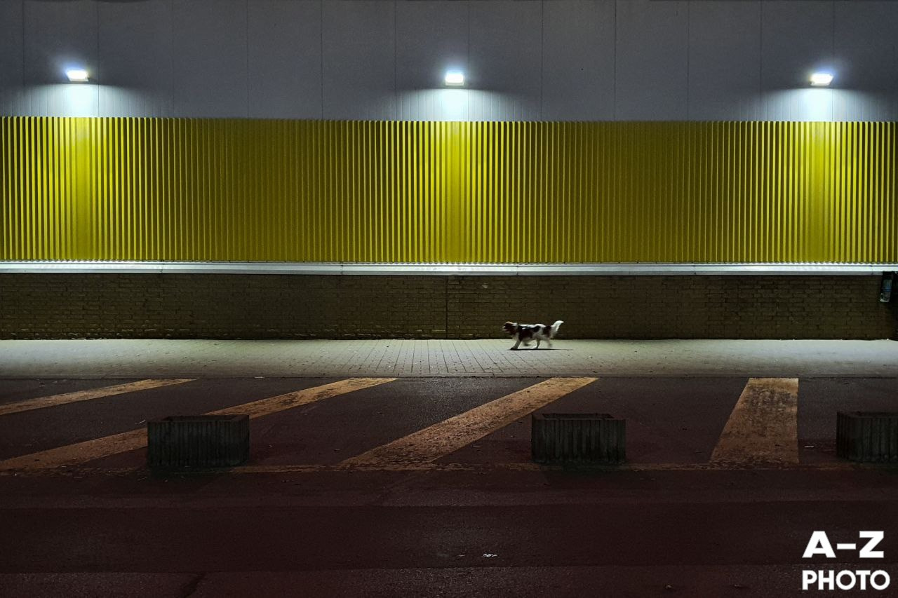 #ФОТОНЕДЕЛИ 16.03.2026. Женский семейный фотограф Тула Москва Захарова Анна