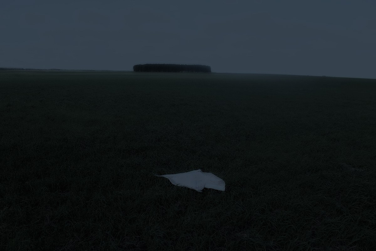 Тропа волн. Julia Altukhova, multimedia artist