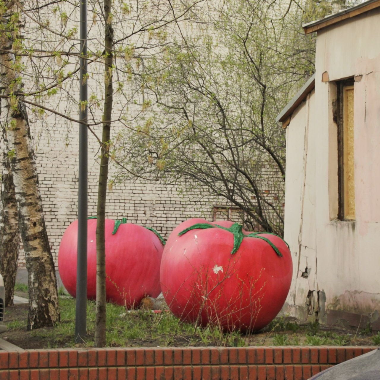 Фотопрогулка — Moscow FreeFlow. PHOTO COMMUNITY #SBERTEAM