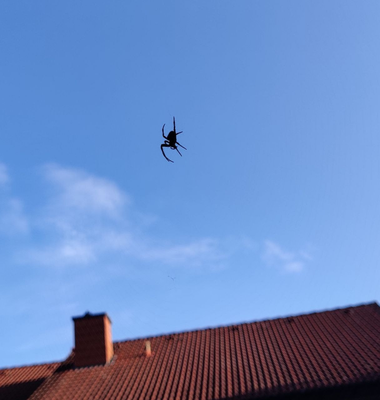 Марафон креативной фотографии. Vladimir Borele Photographer