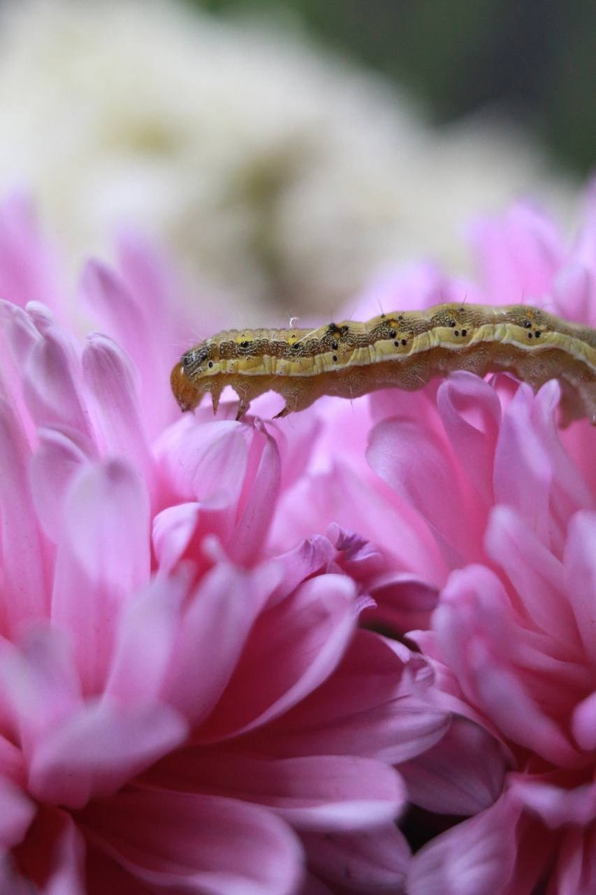 Марафон креативной фотографии. Vladimir Borele Photographer