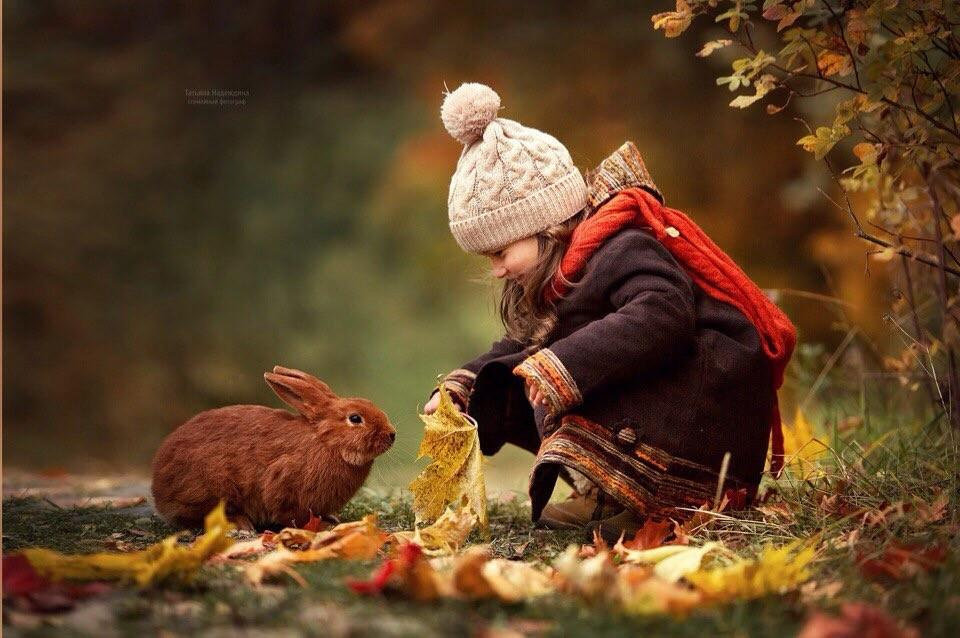 Осенний фототур в Плес. Tatyana Nadezhdina Family photographer