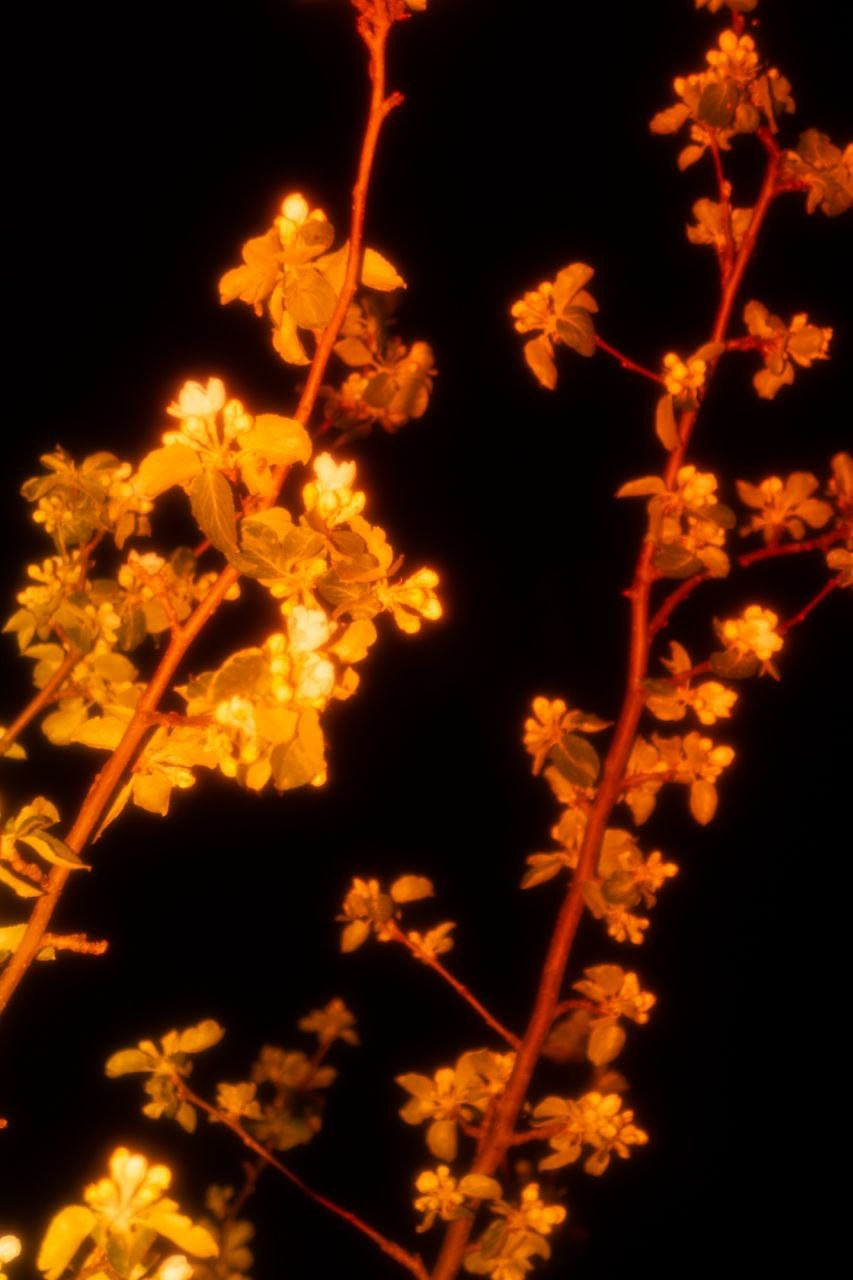 Марафон креативной фотографии. Vladimir Borele Photographer