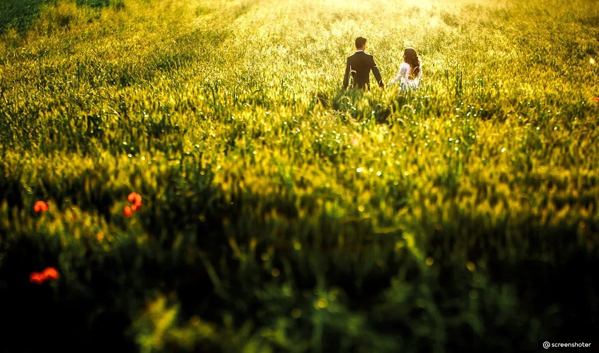 Референсы свадебные. Фотограф, видеограф Пятигорск, Ставрополь, Ессентуки, Petlyakovs_photo