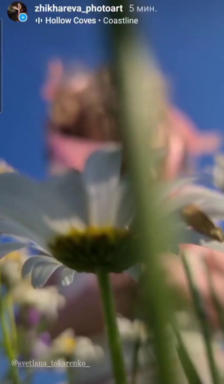 МОБИЛЬНАЯ ВИДЕОГРАФИЯ