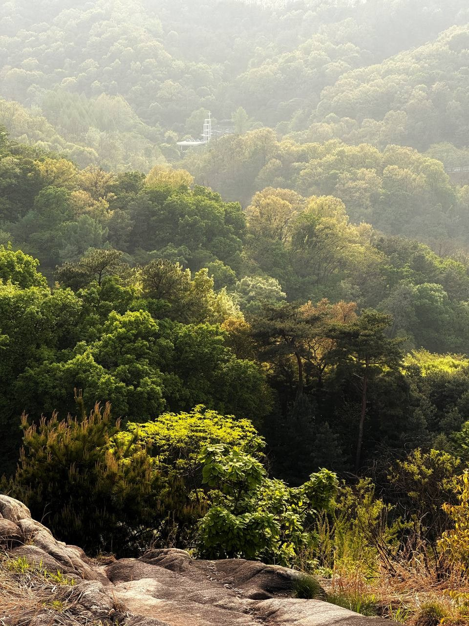 МАРАФОН ФОКУС НА ПРЕКРАСНОМ. Фотограф Анастасия Дмитриева