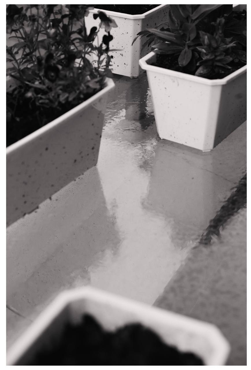 Фотолагерь для фотографов и не только. ARTDARY | Фотограф Дарья Грицай