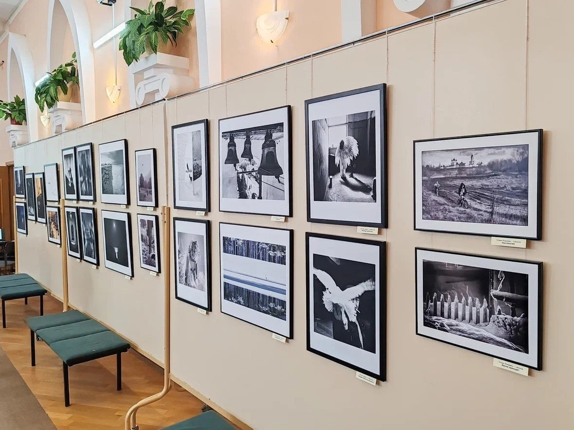 Участвую в выставке, г. Ставрополь. Фотограф Наталия Шляпина в Ростове-на-Дону