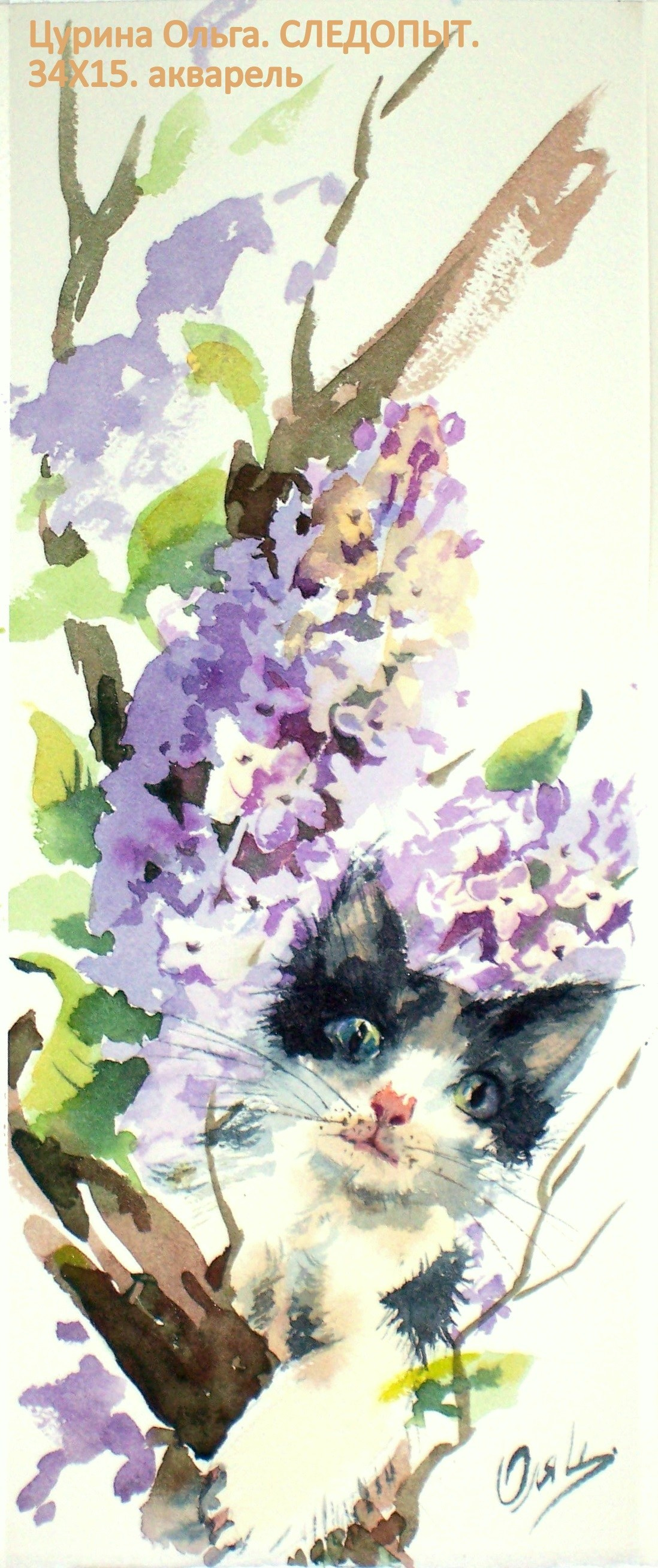 СЛЕДОПЫТ (Котенок на сирени), акварельная картина, художник Ольга Цурина