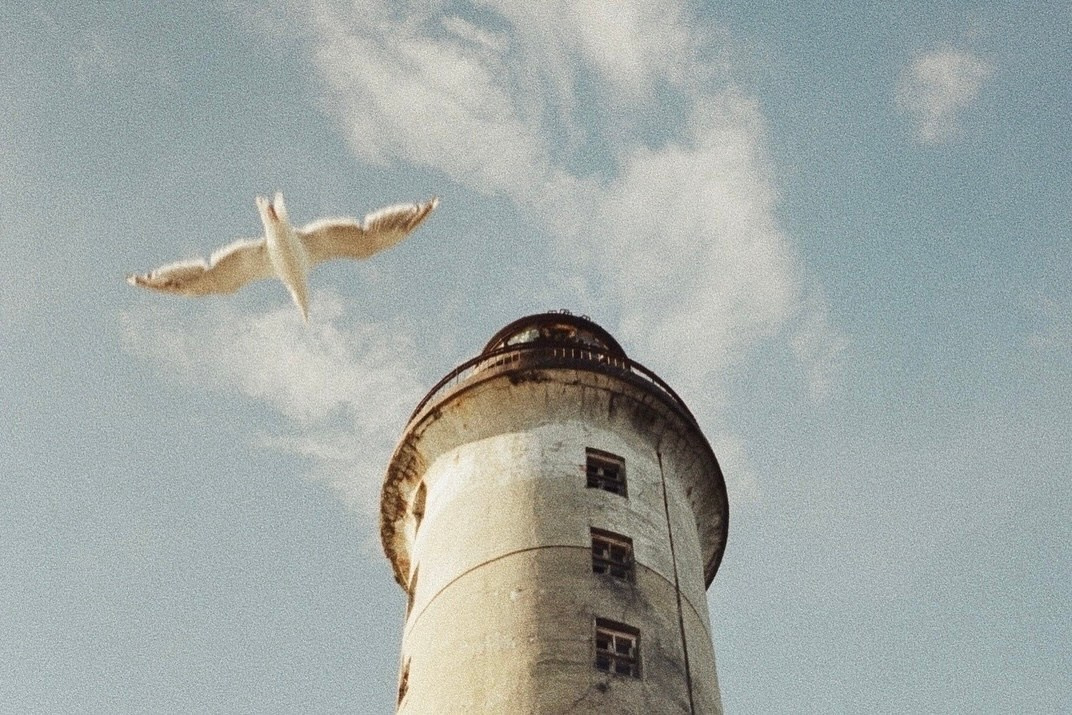 EKATERINA BOGDANOVA ─ PHOTOGRAPHER