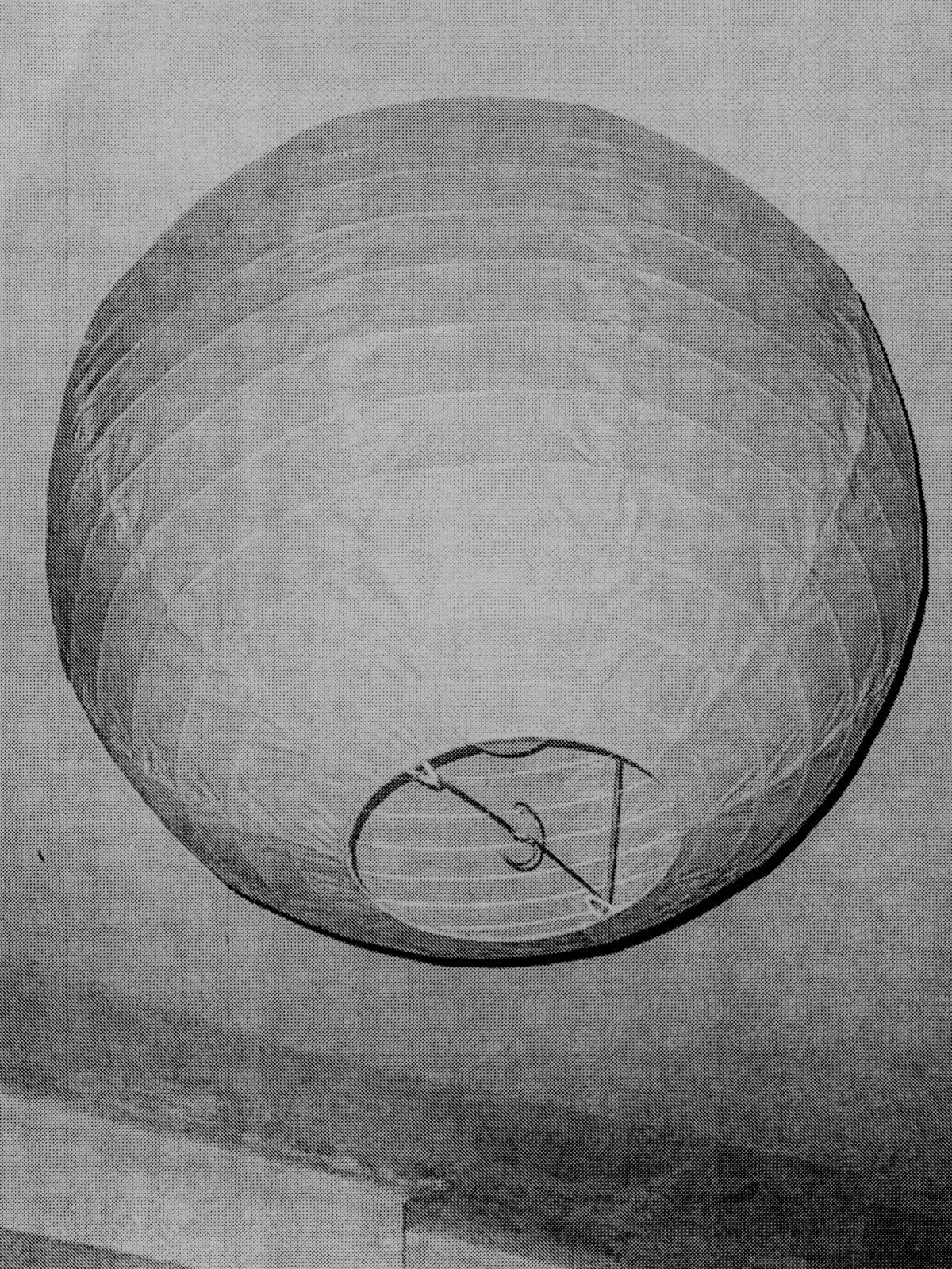 Shunya. Kristina Sergeeva