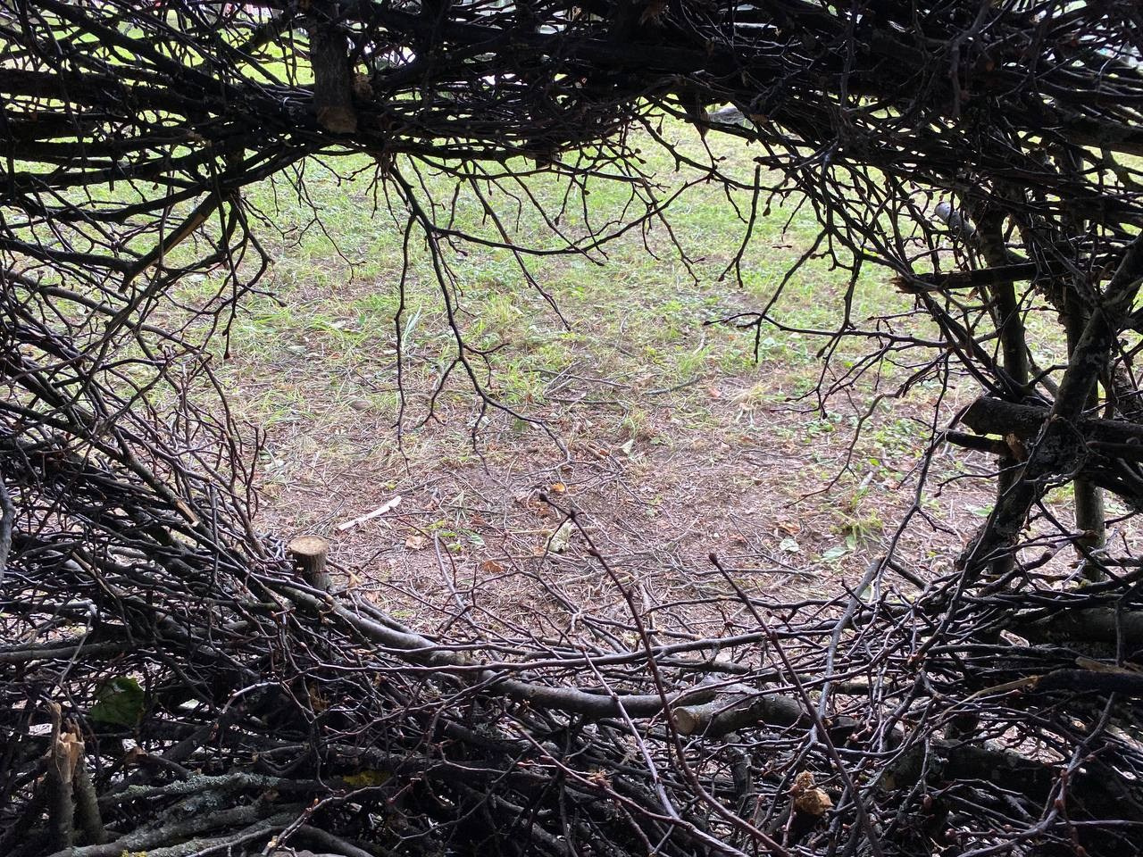 Парк Шиньонов. Лилия Ким. Междисциплинарный художник