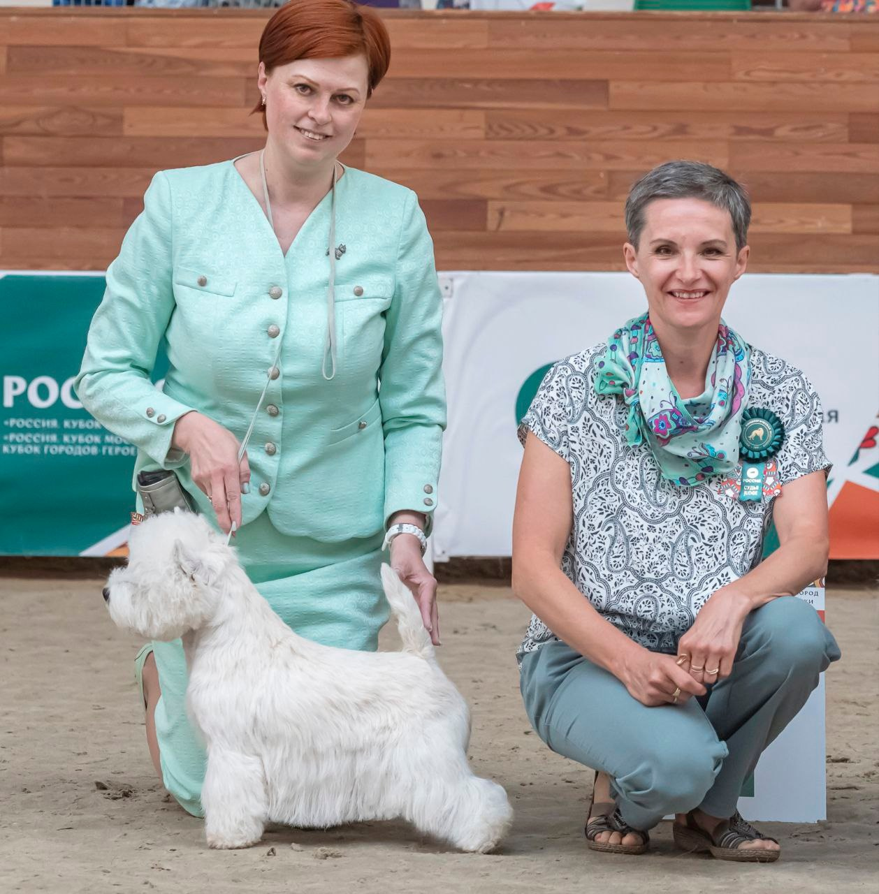 Щенки 14.01.2025. Питомник собак породы вест хайленд вайт терьер в Москве