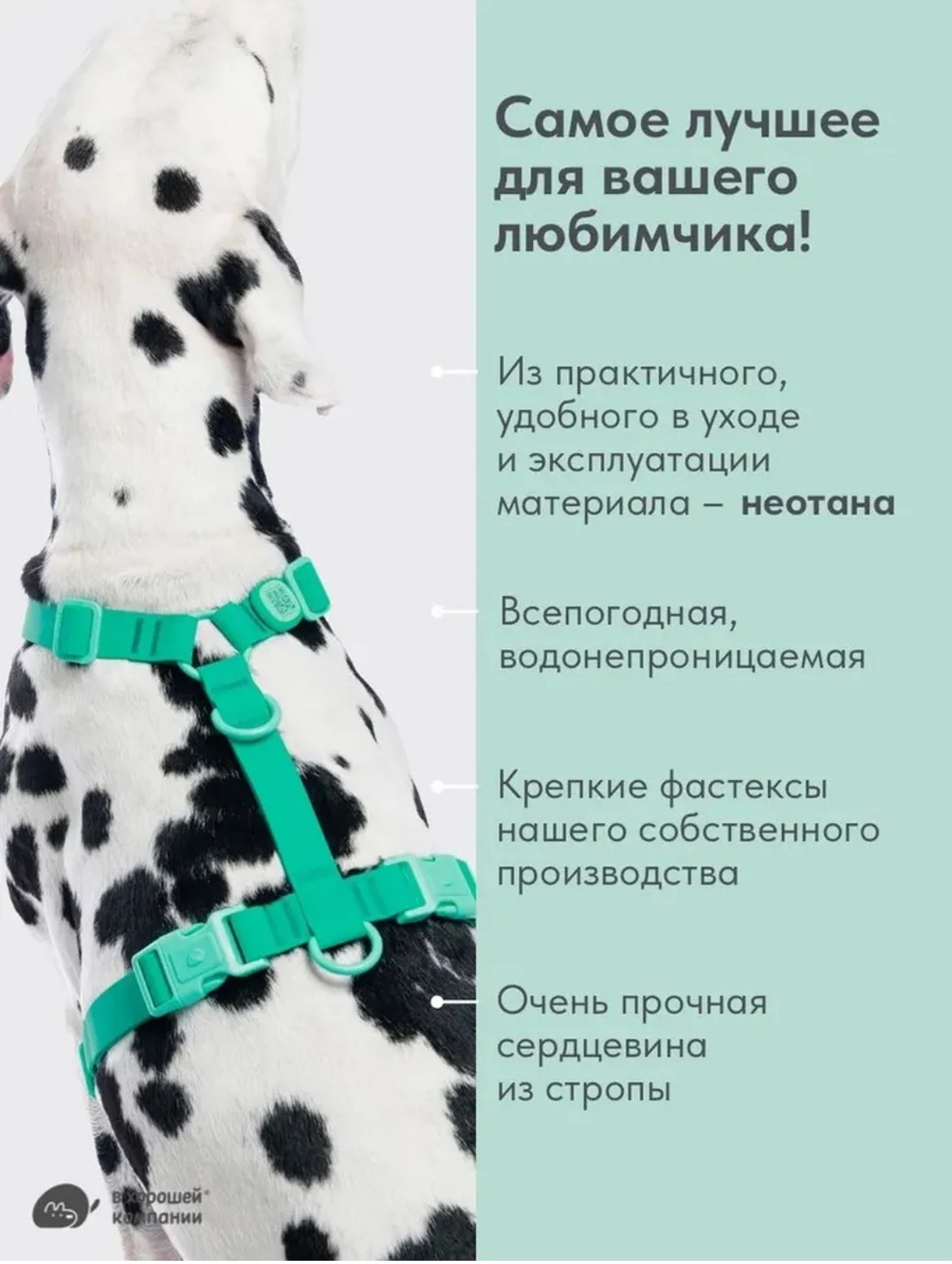 Контакты. Фотограф в Москве Татьяна Драгунова