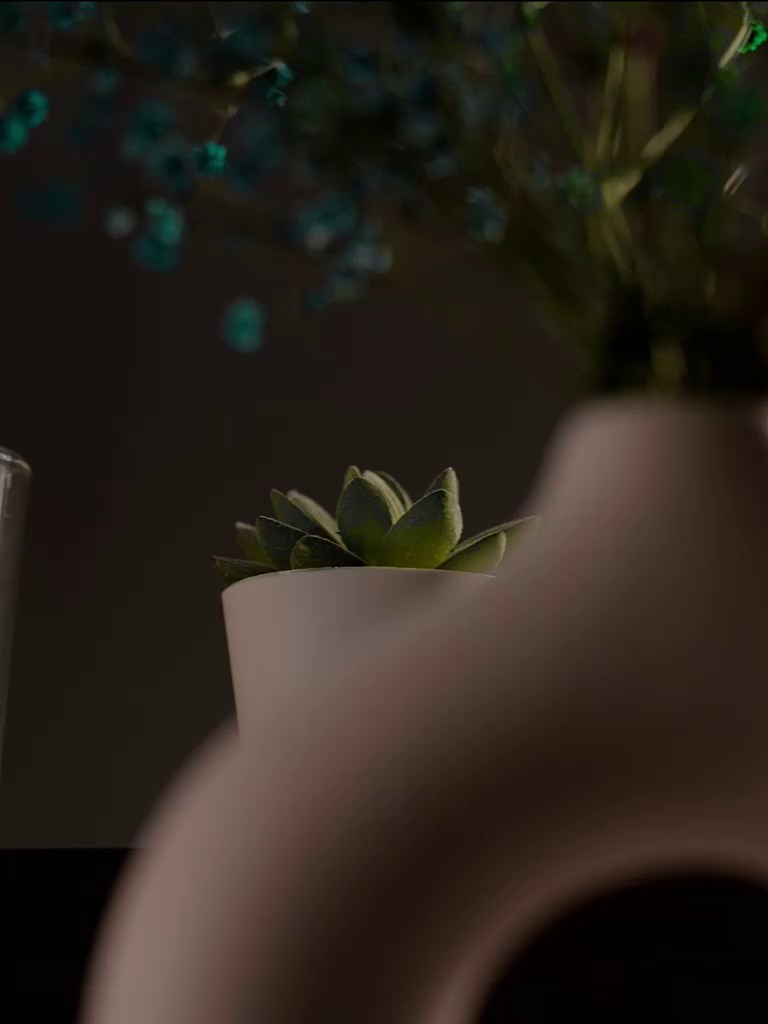 DAISY STORE. Фотограф видеограф в Москве