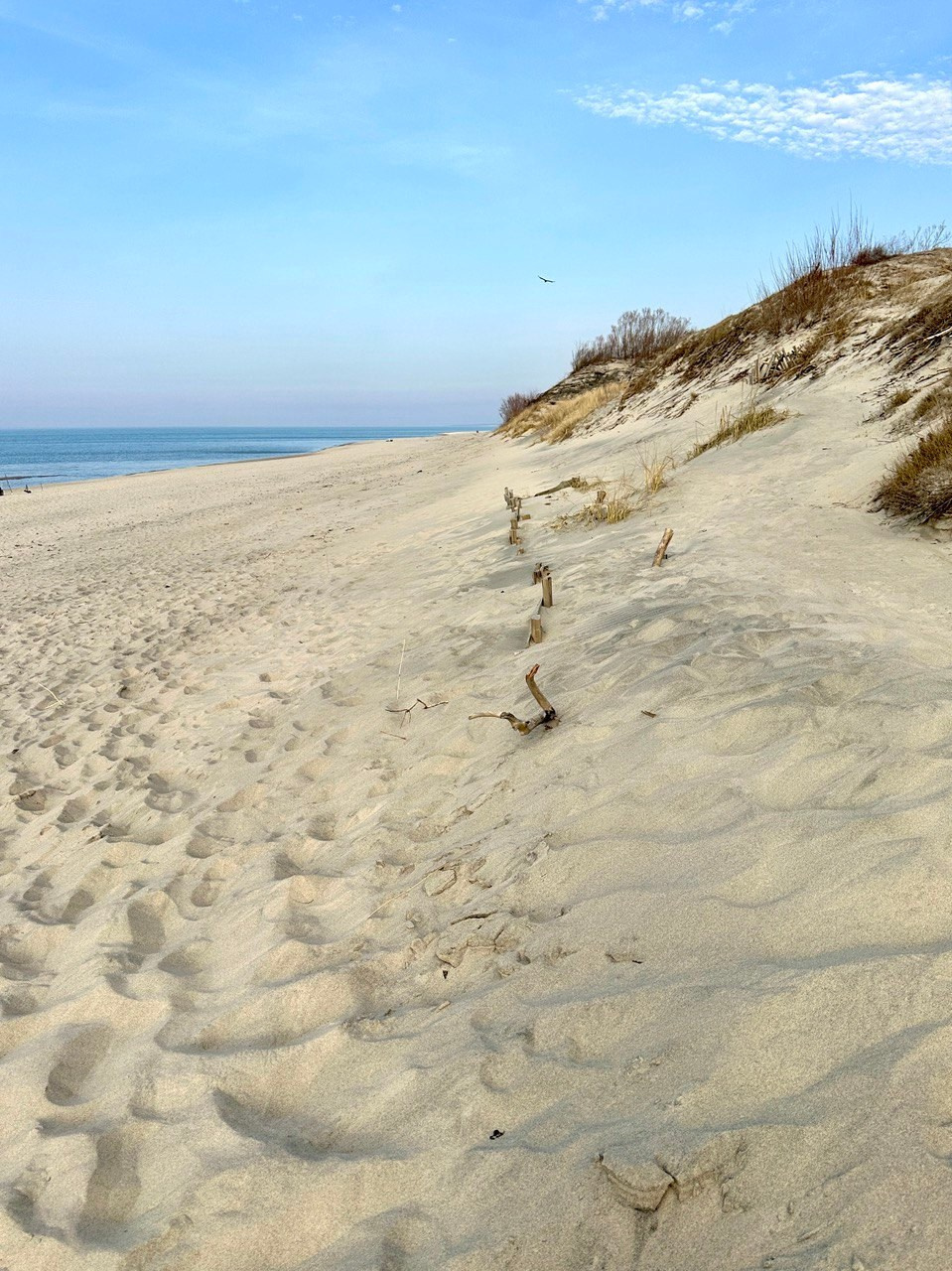 Фототур «Свет янтаря в сердце Балтики». Ольга Котова
