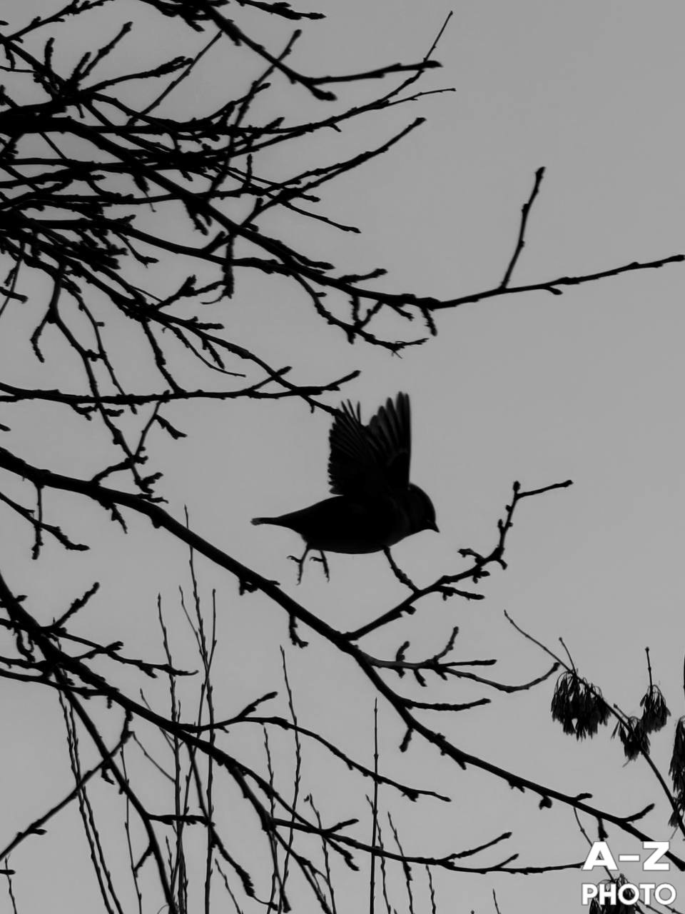 #ФОТОНЕДЕЛИ 16.03.2026. Женский семейный фотограф Тула Москва Захарова Анна