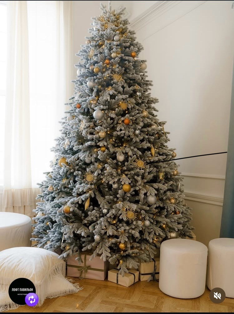 Новый год. Фотограф Беременности в Краснодаре Кара Артисан