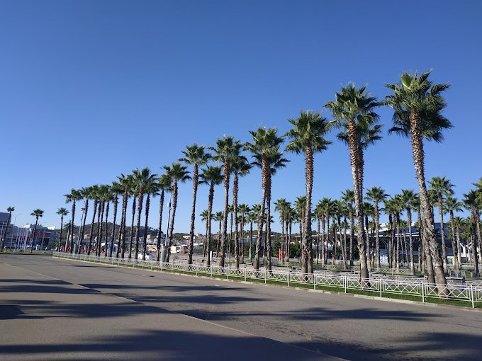 АДЛЕР. Свадебный и семейный фотограф/видеограф в Краснодаре Наталья Осинская