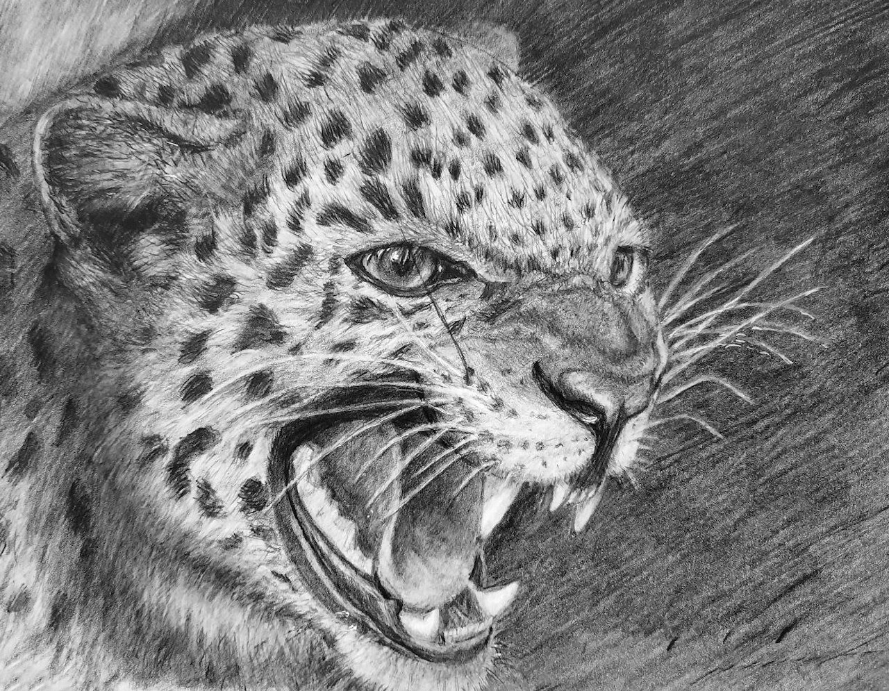 Любовь Шатунова | Портрет питомца по фото. Любовь Шатунова | Портреты по фото | Пейзажи на заказ | Натюрморты | Анимализм