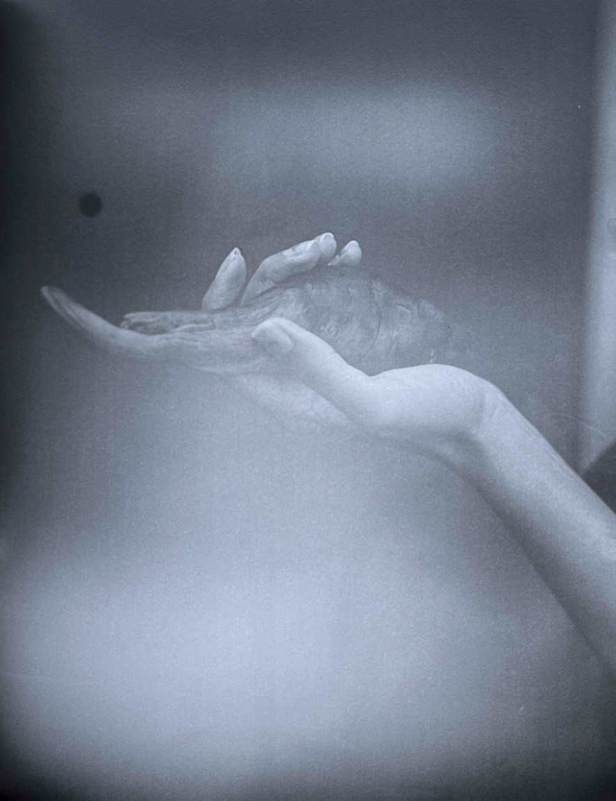 Книга «Gertrud» Мэй Дэниелс (Maja Daniels). Private image